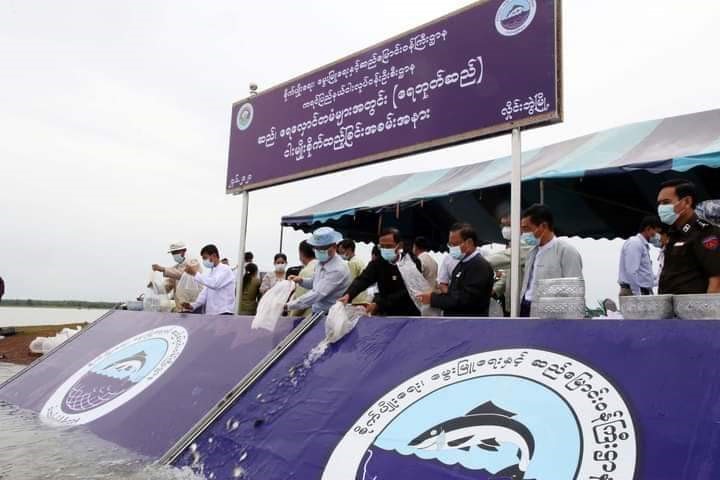 ရေဘုတ်ရေလှောင်တမံအတွင်း ငါးမျိုးစိုက်ထည့်ခြင်းနှင့် ရေလှောင်တမံအား စီမံခန့်ခွဲ မည့်အစီအမံများ ဆွေးနွေး