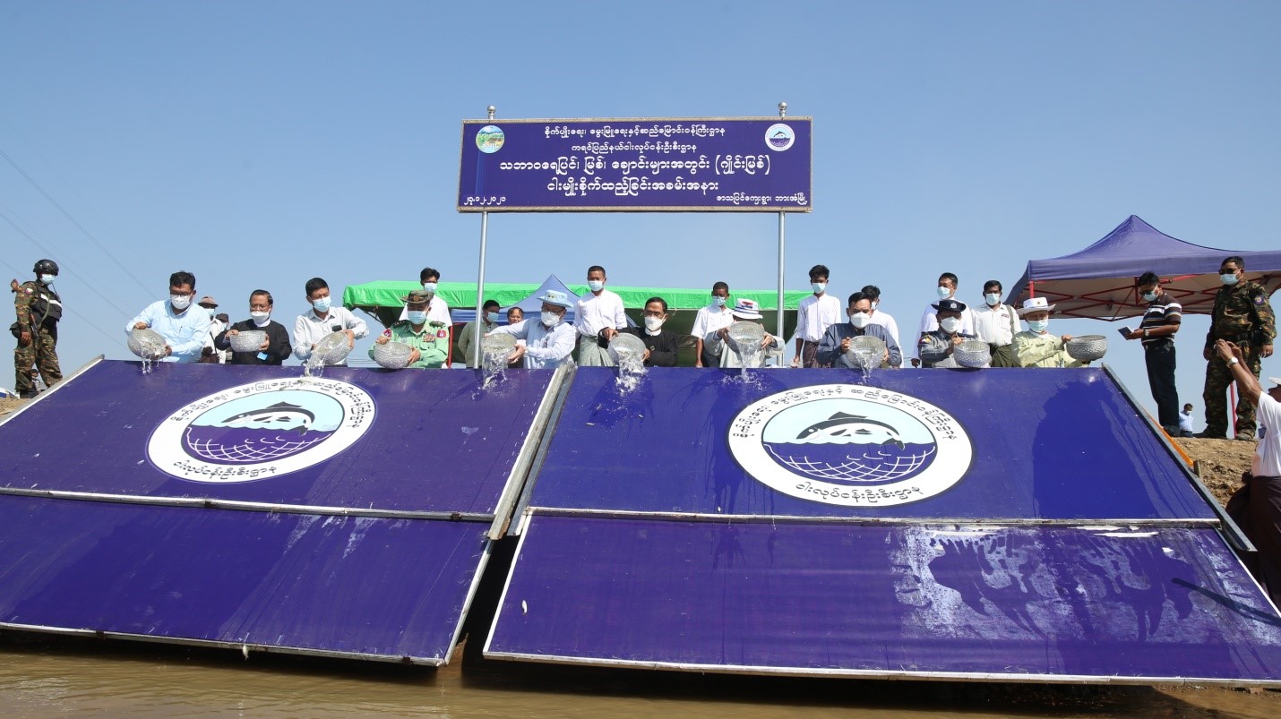 ငါးမျိုးစိုက်ထည့်ခြင်း အခမ်းအနားသို့ တက်ရောက်