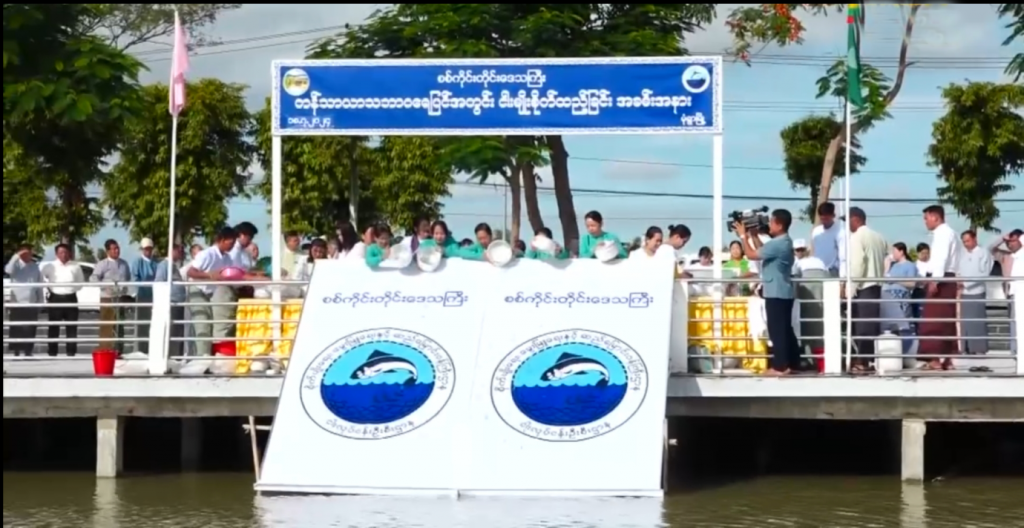 ကန်သာယာသဘာဝရေပြင်အတွင်း ငါးမျိုးစိုက်ထည့်ခြင်းအခမ်းအနားတက်ရောက်